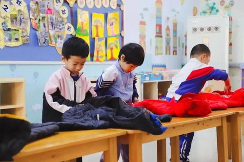 濟(jì)南市七里山幼兒園構(gòu)建“四匯”體系，科學(xué)推進(jìn)幼小銜接