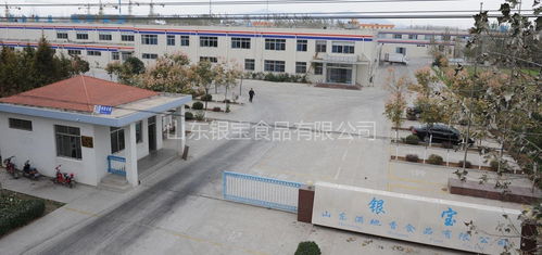 山東銀寶食品與濟南七里山幼兒園攜手共建健康飲食新篇章